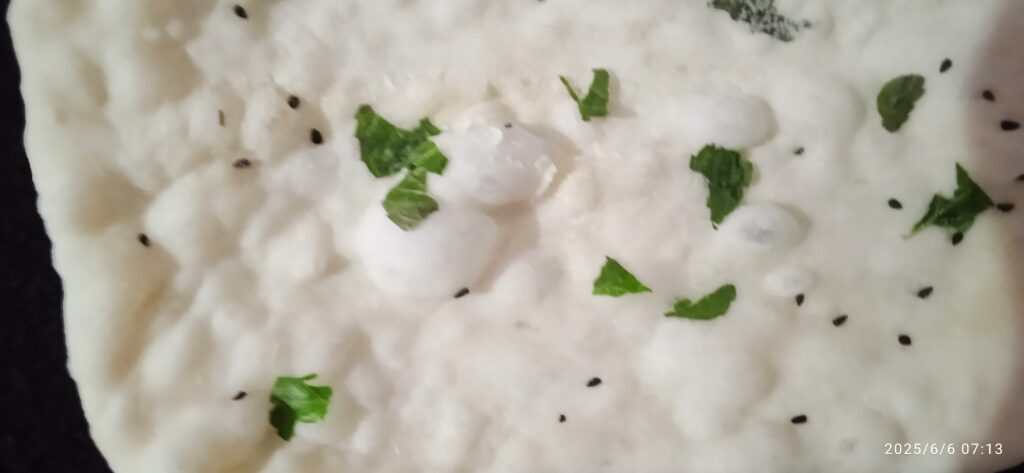 Bubbled naan