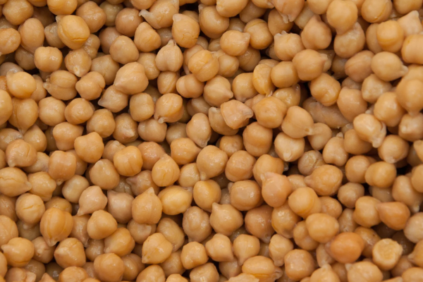 Boiled chana/chole ( chickpeas Boiled chana/chole ( chickpeas)