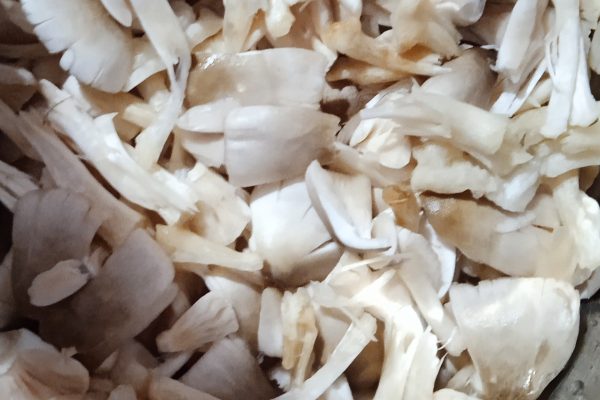 Washed Mushroom Washed Mushroom